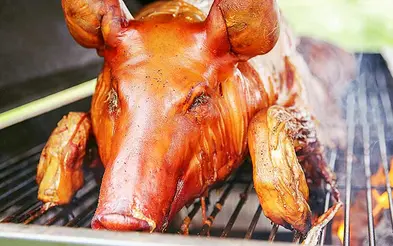 Catering Horvat Spanferkel